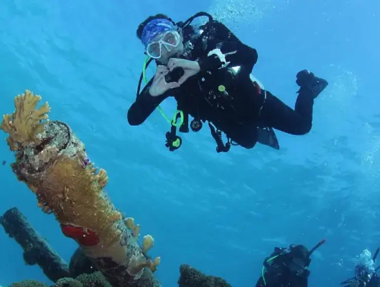 Dive Center Scuba Do