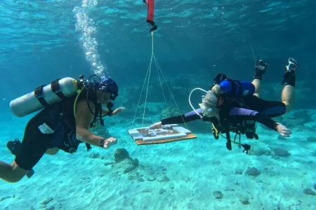 Curacao is Breaking Records!